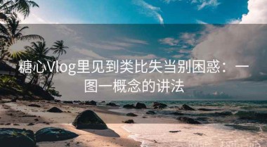 糖心Vlog里见到类比失当别困惑：一图一概念的讲法