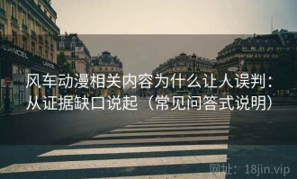 风车动漫相关内容为什么让人误判：从证据缺口说起（常见问答式说明）