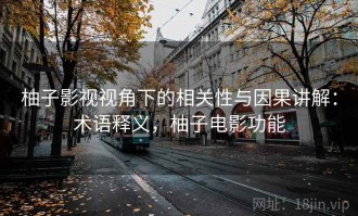 柚子影视视角下的相关性与因果讲解：术语释义，柚子电影功能
