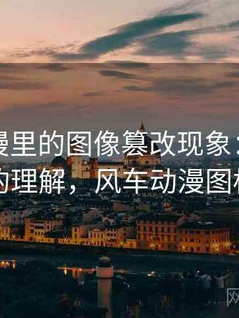 风车动漫里的图像篡改现象：更直观的理解，风车动漫图标
