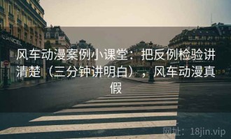 风车动漫案例小课堂：把反例检验讲清楚（三分钟讲明白），风车动漫真假