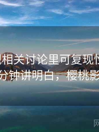 樱桃影视相关讨论里可复现性的影子：三分钟讲明白，樱桃影 院