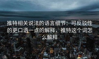 推特相关说法的语言细节：可反驳性的更口语一点的解释，推特这个词怎么解释