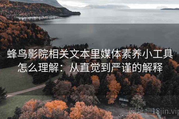 蜂鸟影院相关文本里媒体素养小工具怎么理解：从直觉到严谨的解释