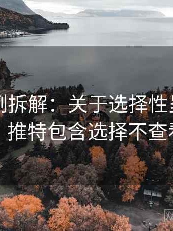 推特案例拆解：关于选择性呈现的常见表现，推特包含选择不查看的内容