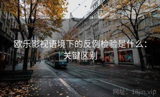 欧乐影视语境下的反例检验是什么：关键区别