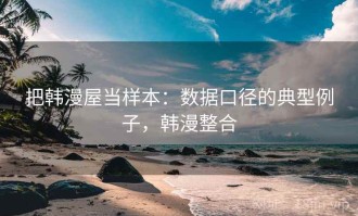 把韩漫屋当样本：数据口径的典型例子，韩漫整合