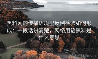 黑料网的传播语境里反例检验如何形成：一段话讲清楚，网络用语黑料是什么意思