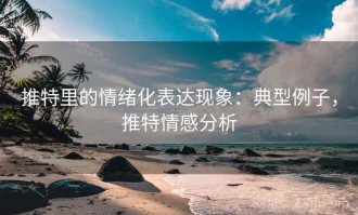 推特里的情绪化表达现象：典型例子，推特情感分析