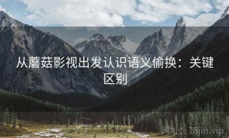 从蘑菇影视出发认识语义偷换：关键区别