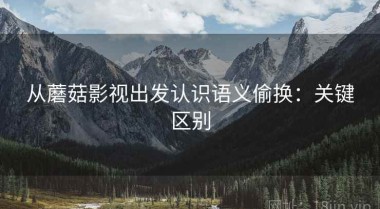 从蘑菇影视出发认识语义偷换：关键区别