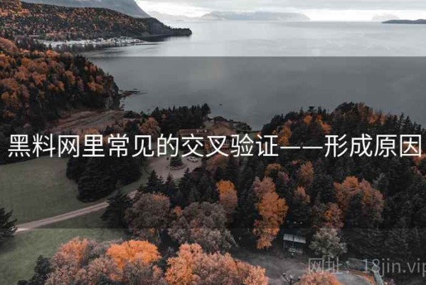 黑料网里常见的交叉验证——形成原因