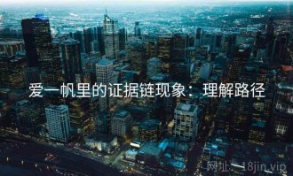 爱一帆里的证据链现象：理解路径
