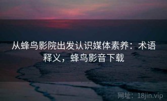 从蜂鸟影院出发认识媒体素养：术语释义，蜂鸟影音下载