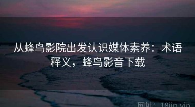 从蜂鸟影院出发认识媒体素养：术语释义，蜂鸟影音下载