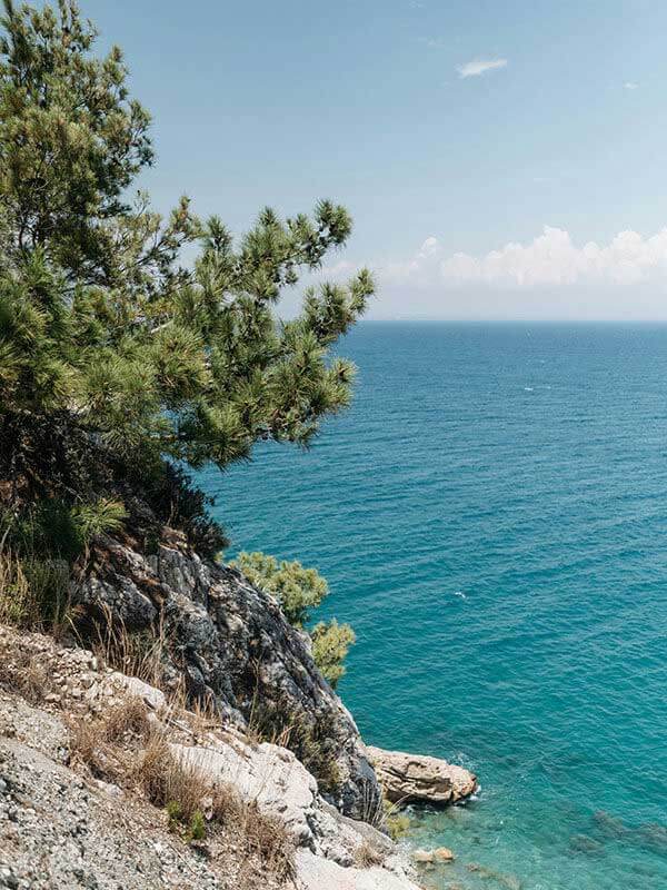 拿黑料网当例子：什么叫锚定效应——一图一概念的讲法，锚定效应原理